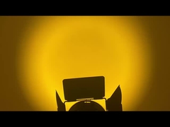 WW CW LED fresnel spot light